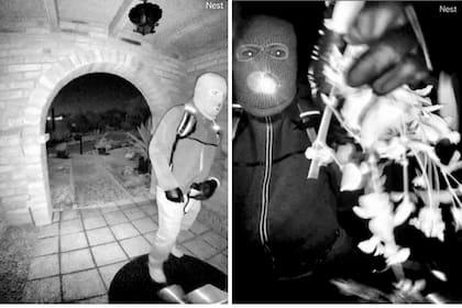 FBI: adn recuperado de un guante cerca de la casa de Guthrie parece coincidir con el del sospechoso