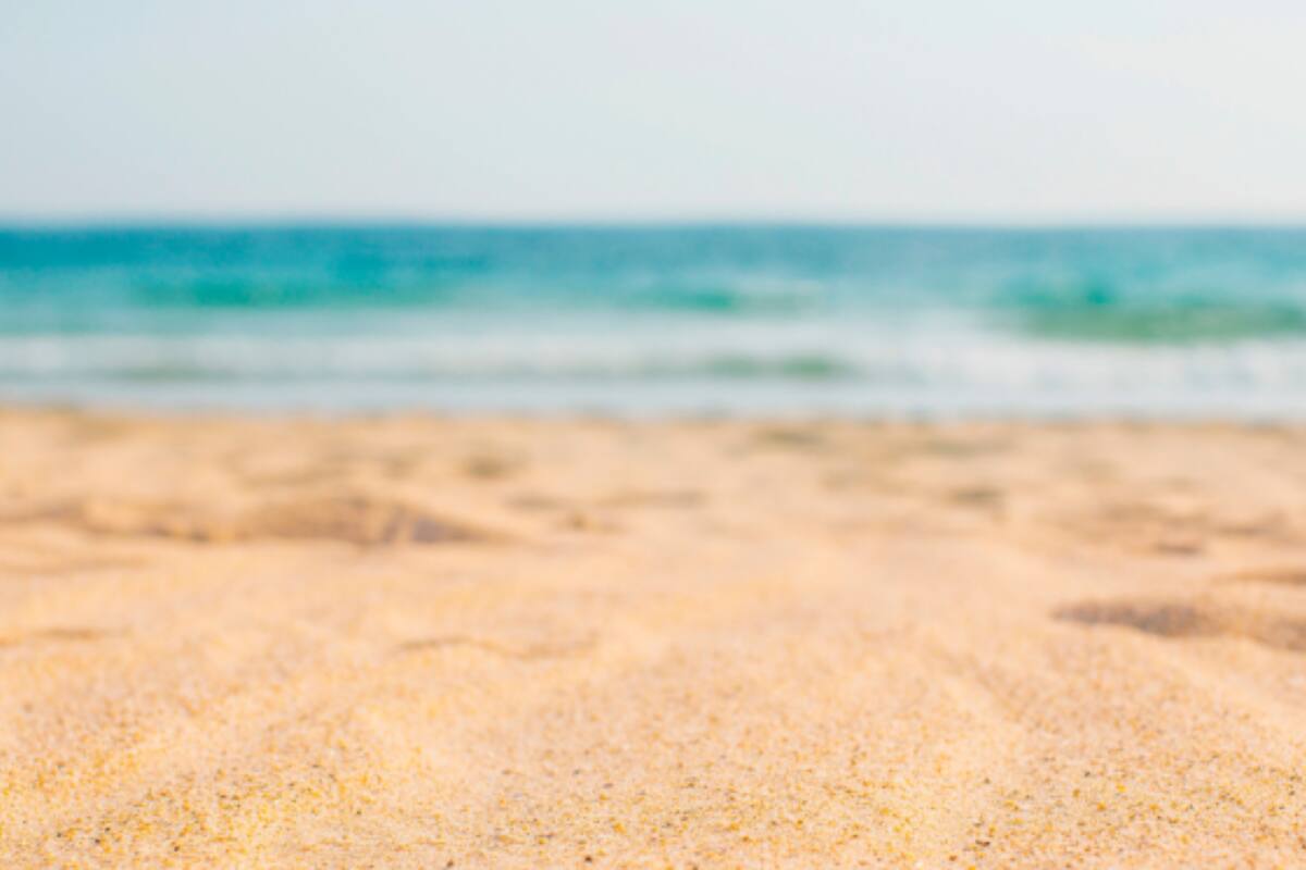 Febrero es uno de los mejores meses para visitar Florida: clima agradable, menos turistas y la posibilidad de disfrutar al máximo tanto la costa como las atracciones del estado