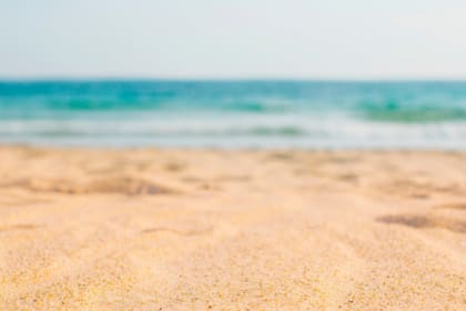 Febrero es uno de los mejores meses para visitar Florida: clima agradable, menos turistas y la posibilidad de disfrutar al máximo tanto la costa como las atracciones del estado