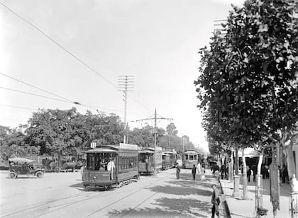 Febril actividad de tranvías a la altura de Plaza Italia.ca. 1910/1920.