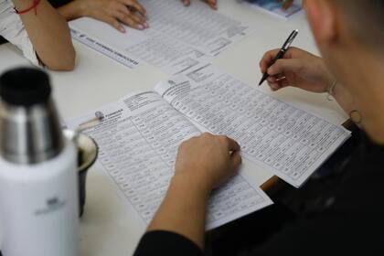 Fecha confirmada: qué día son las elecciones legislativas en Formosa 2025