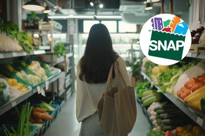 Fechas de pago del programa SNAP para noviembre de 2025 (Pixabay/SNAP)