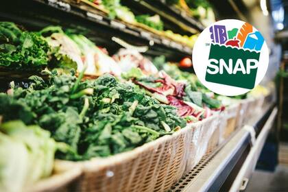 Fechas para el pago de SNAP en Florida (Unsplash/USDA)