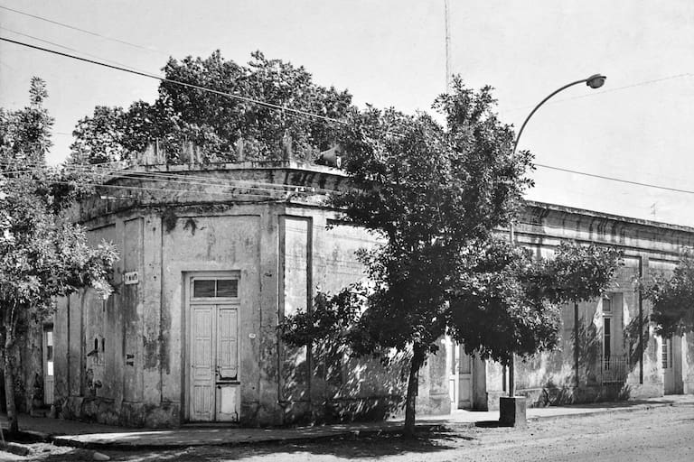 FEDERACION