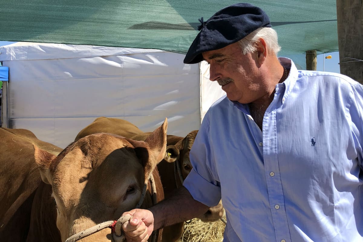 Federalismo, consenso y trabajo en equipo: propuestas de un candidato a dirigir la Sociedad Rural Argentina