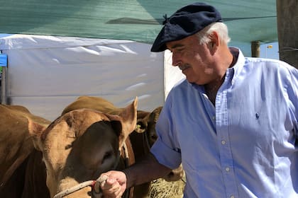 Federalismo, consenso y trabajo en equipo: propuestas de un candidato a dirigir la Sociedad Rural Argentina