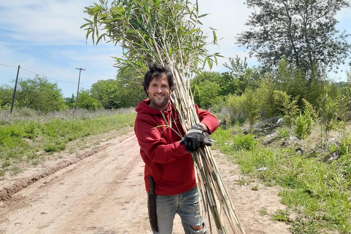 Federico de Angelis produce sorbetes reutilizables elaborados de tallos enteros de bambú