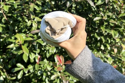 Federico Manchado y Gustavo Peters lanzaron Zapiens en marzo de este año