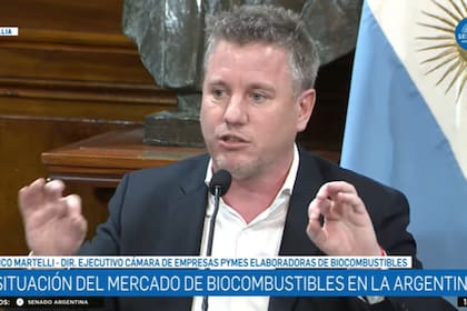 Federico Martelli, director ejecutivo de Cepreb