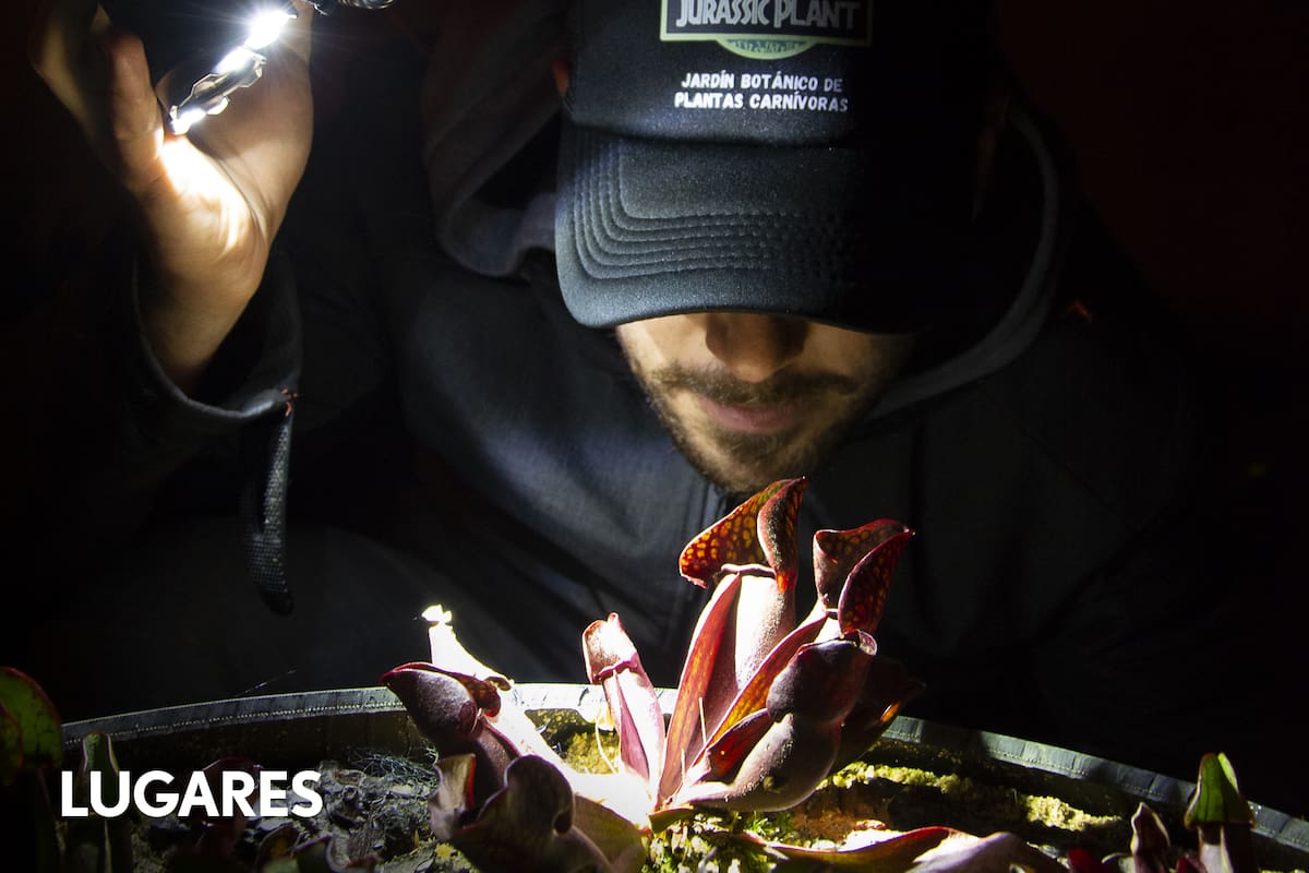 Federico Parrilli y sus plantas carnívoras