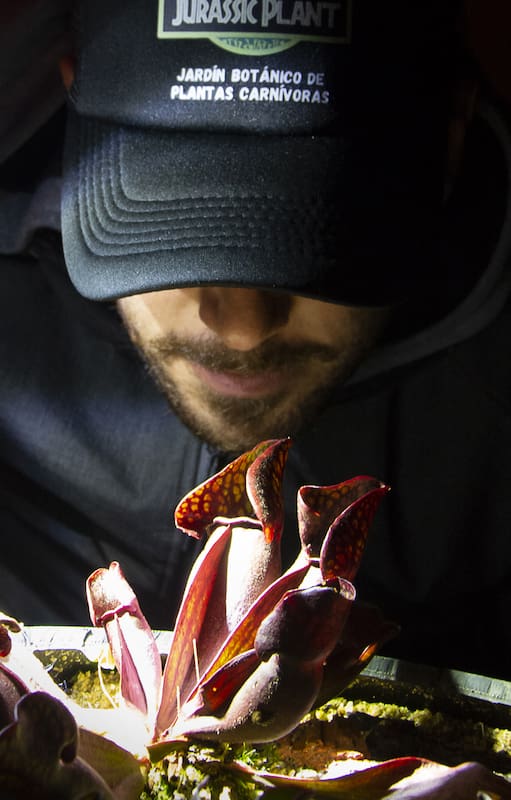 Federico Parrilli y sus plantas carnívoras