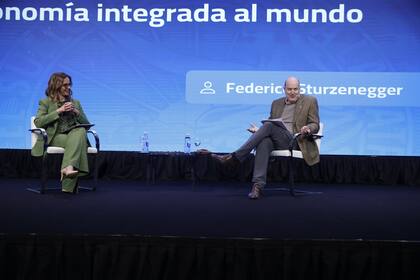 Federico Sturzenegger durante su charla en La Rural