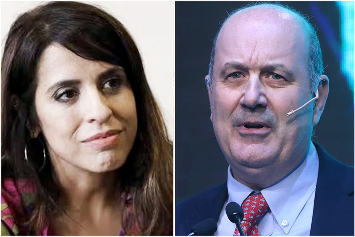 Federico Sturzzenegger apuntó contra la extitular del Inadi para explicar una reglamentación en el Boletín Oficial.