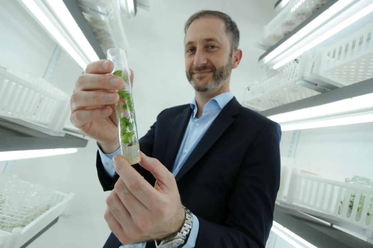 Federico Trucco, CEO de Bioceres