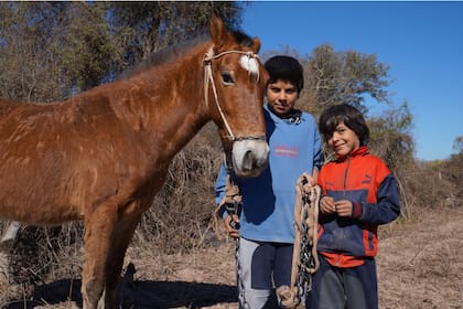 Federico y Agustín buscan el caballo que está en el monte para darle de tomar agua que sacan de un canal del río en el que tienen una represa