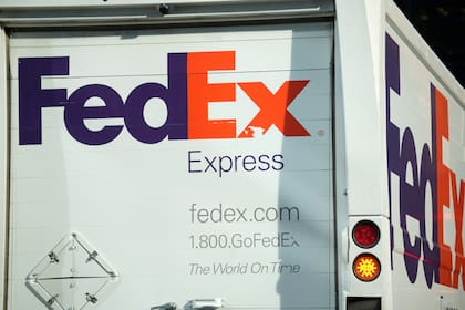 FedEx sí acepta ciertos reptiles no venenosos como parte de su programa de envío de animales vivos.