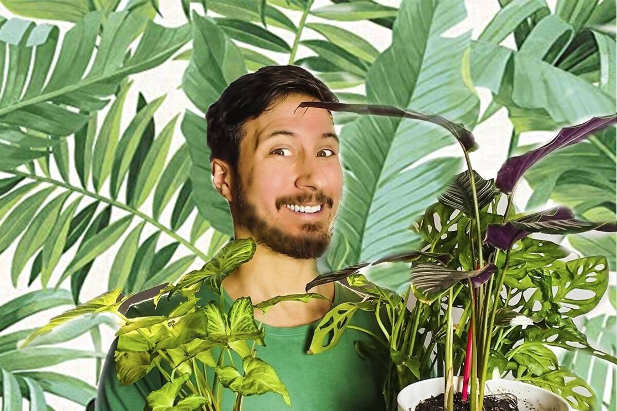 Felipe Castro, de @quiero_verde