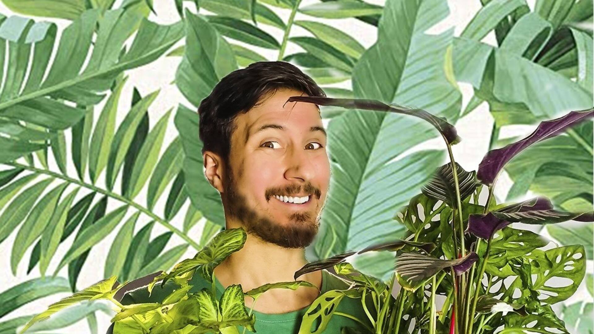 Felipe Castro, de @quiero_verde