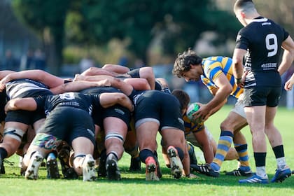Felipe Ezcurra volvió a la primera de Hindú tras sus experiencias internacionales; el medio-scrum de 31 años jugó los últimos 20 minutos en el valioso éxito sobre CASI, que acomoda al Elefante en el Top 12 de URBA.