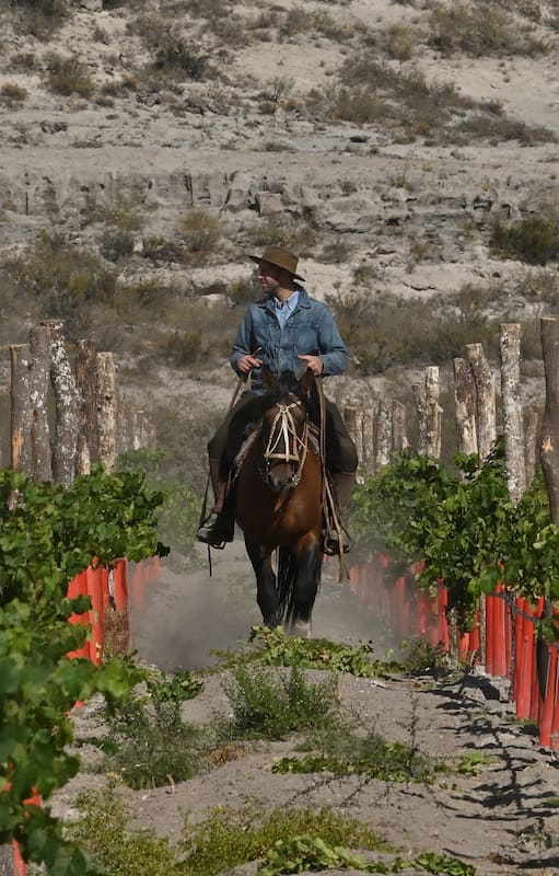 Felipe Menéndez a caballo entre las hileras de vides de Valle Azul, en Río Negro