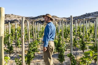 Es argentino, encontró agua en el desierto de la Patagonia y hoy vende vinos desde US$100