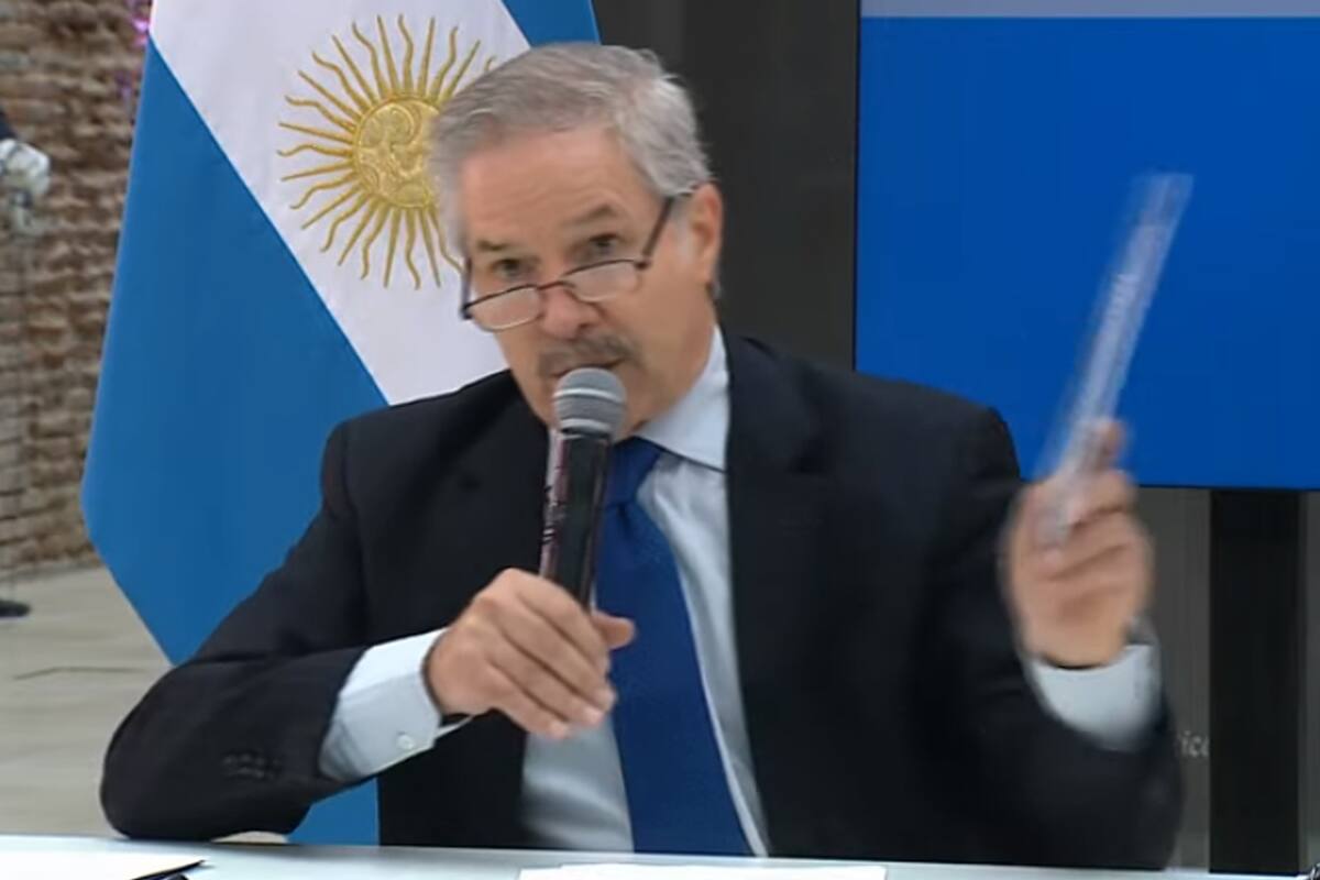 Felipe Solá; Mercosur; Estatuto