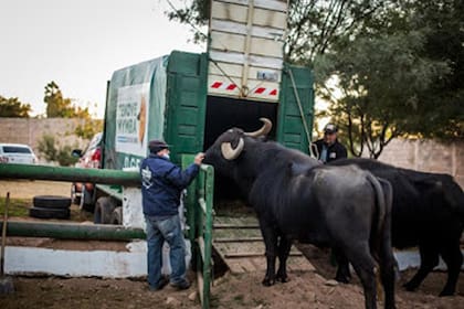 Felipe y Gigante por subir al vehículo que los trasladó desde La Rioja hasta Entre Ríos.