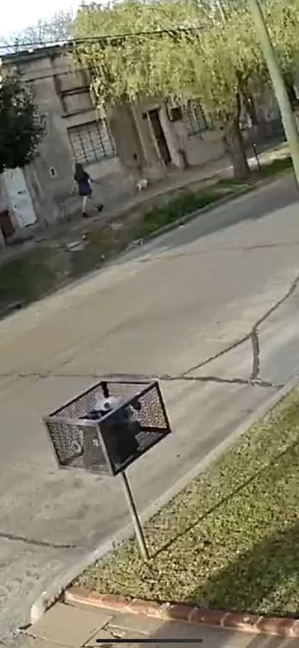Femicidio en Campana: el momento en el que víctima se encuentra con el sospechoso-
