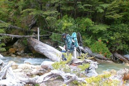 Fenoglio rodeada de la naturaleza de Los Alerces