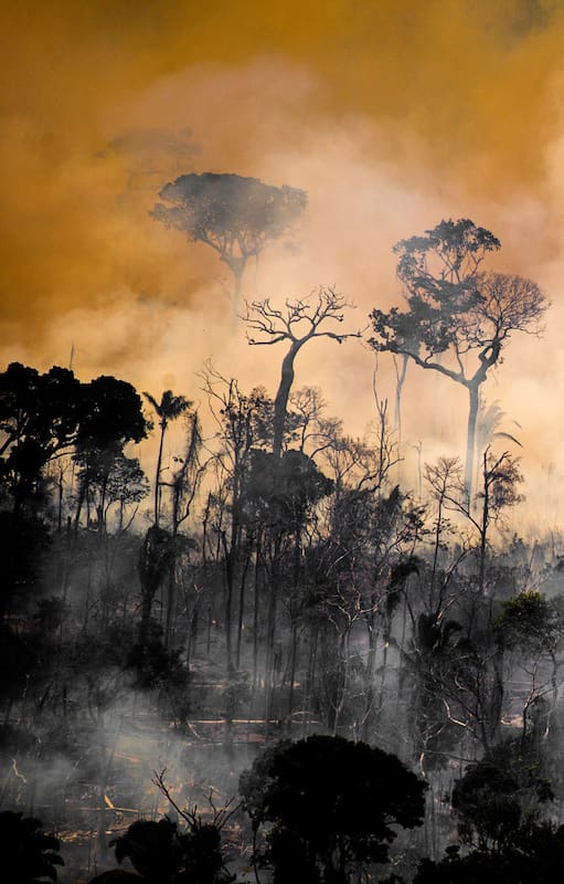 Inundaciones, sequías extremas, olas de calor más intensas, derretimiento de los polos son algunas de las consecuencias de esta realidad que aún estamos a tiempo de revertir