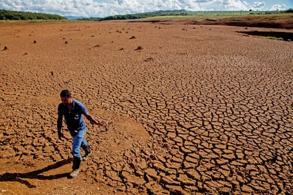 Fenómenos climáticos extremos; Cambio Climático; naturaleza; medio ambiente; incendio; sequías; inundaciones; calor extremo; frío extremo; osos polares; Sociedad; greenpeace