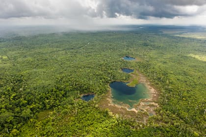 Fentileza de NatGeo. Foto: Tony Roth/The Nature Conservancy