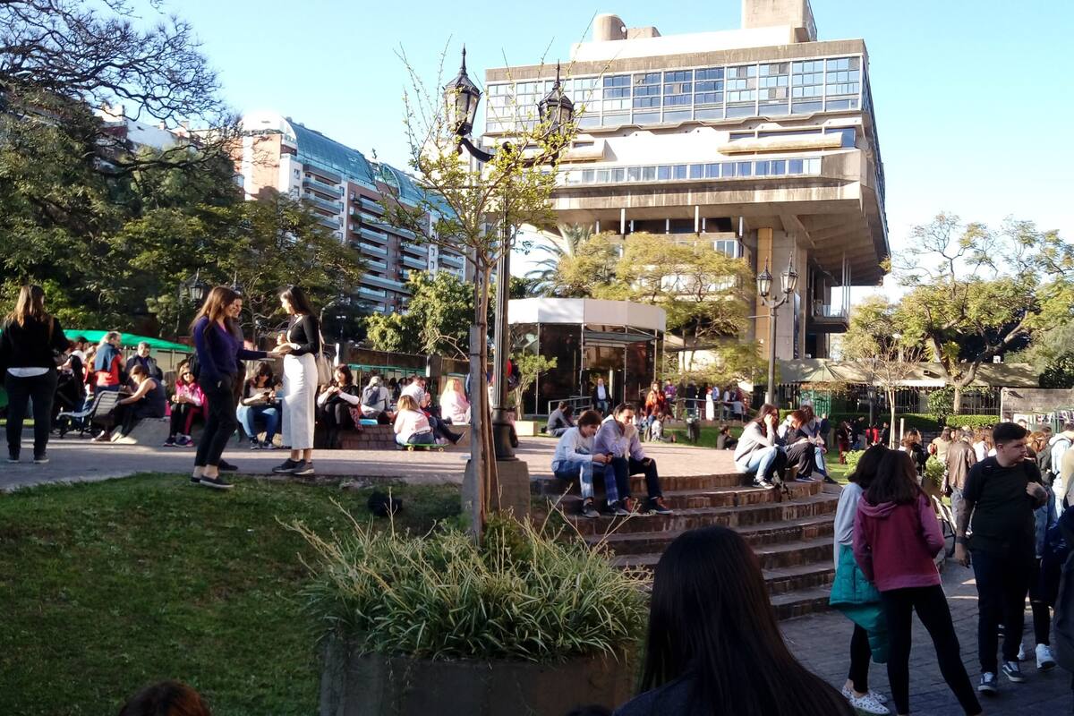 Feria y actividades al aire libre en la Plaza del lector