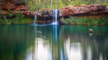 Fern pool.