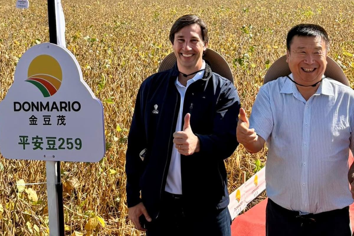 Fernán Díaz Saubidet, durante una jornada a campo con productores chinos.