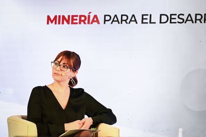 Fernanda Ávila, diputada de Elijo Catamarca, presidenta de la Comisión de Minería de la Cámara baja