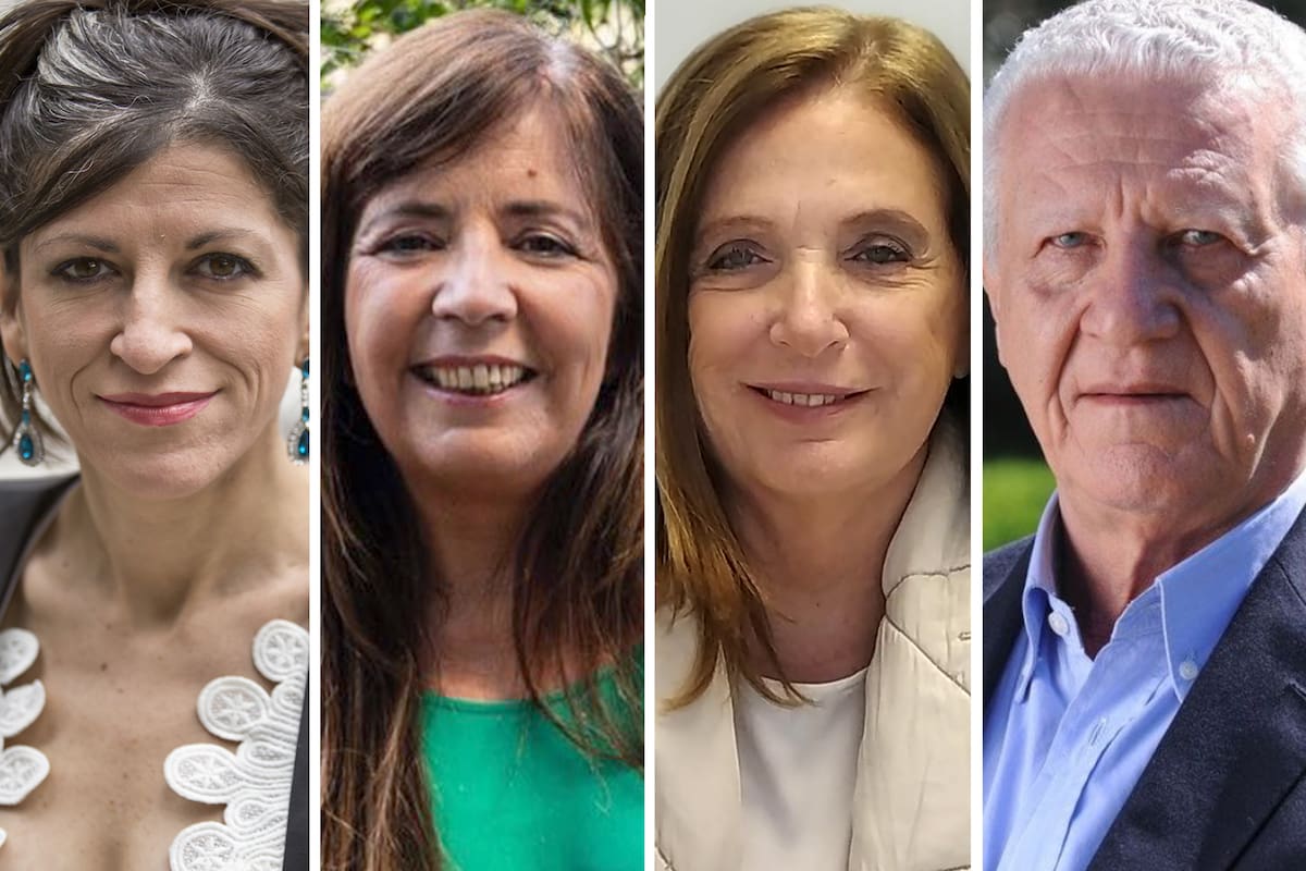 Fernanda Vallejos, Gabriela Cerrutti, Carmen Polledo y Jorge Sarghini, algunos de los diputados que no renovarán sus bancas