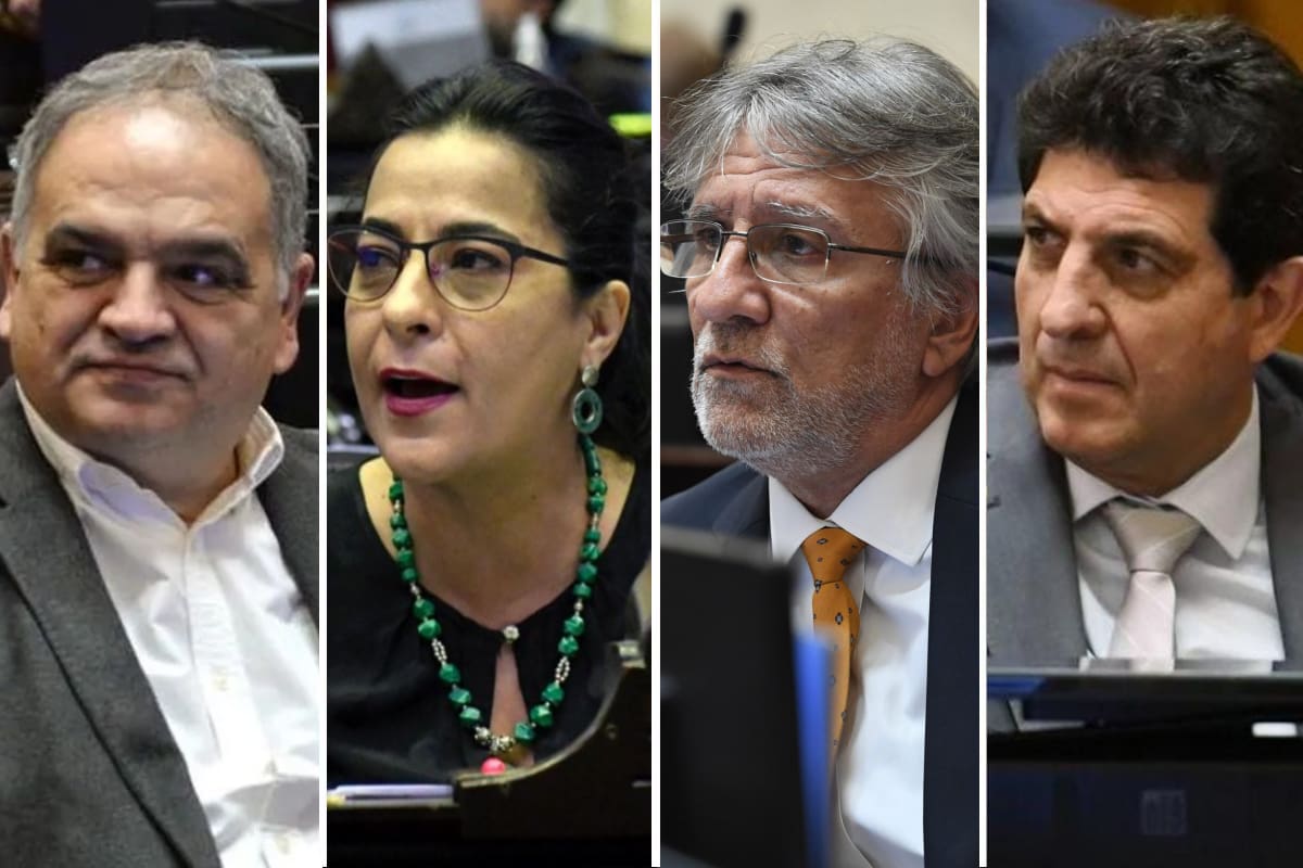 Fernando Aldo Salino, Carolina Moisés, Guillermo Andrada y Fernando Rejal