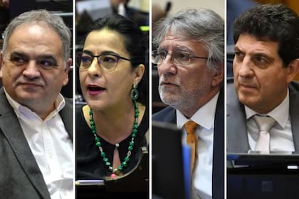 Fernando Aldo Salino, Carolina Moisés, Guillermo Andrada y Fernando Rejal