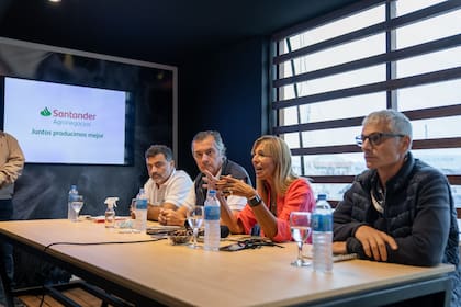 Fernando Bautista, Head de Agronegocios; Enrique Cristofani, presidente de Santander Argentina; Silvia Tenazinha, gerenta principal de Banca Comercial, y Guillermo Tempesta, vicepresidente primero y responsable de Sustentabilidad/ESG