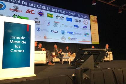 Fernando Canosa (moderador), Dover (Aacrea), Grigera Naón (SRA), Chiesa (CRA), Spada (FAA) y Álvarez Maldonado (Coninagro)