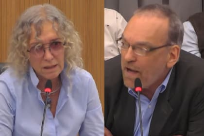 Fernando Iglesias se cruzó con Mónica Frade en una Comisión de Diputados: “Sos un cagón”
