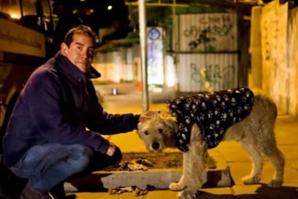 Fernando Kushner pasaba sus noches recorriendo las calles de La Paz y asistiendo a perros callejeros