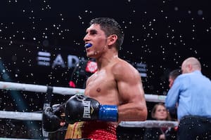 Las distinciones a lo más destacado del boxeo argentino en 2024