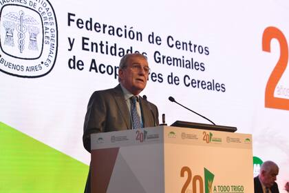 Fernando Rivara, presidente de la Federación de Acopiadores de Granos, durante su discurso en A Todo Trigo 2024