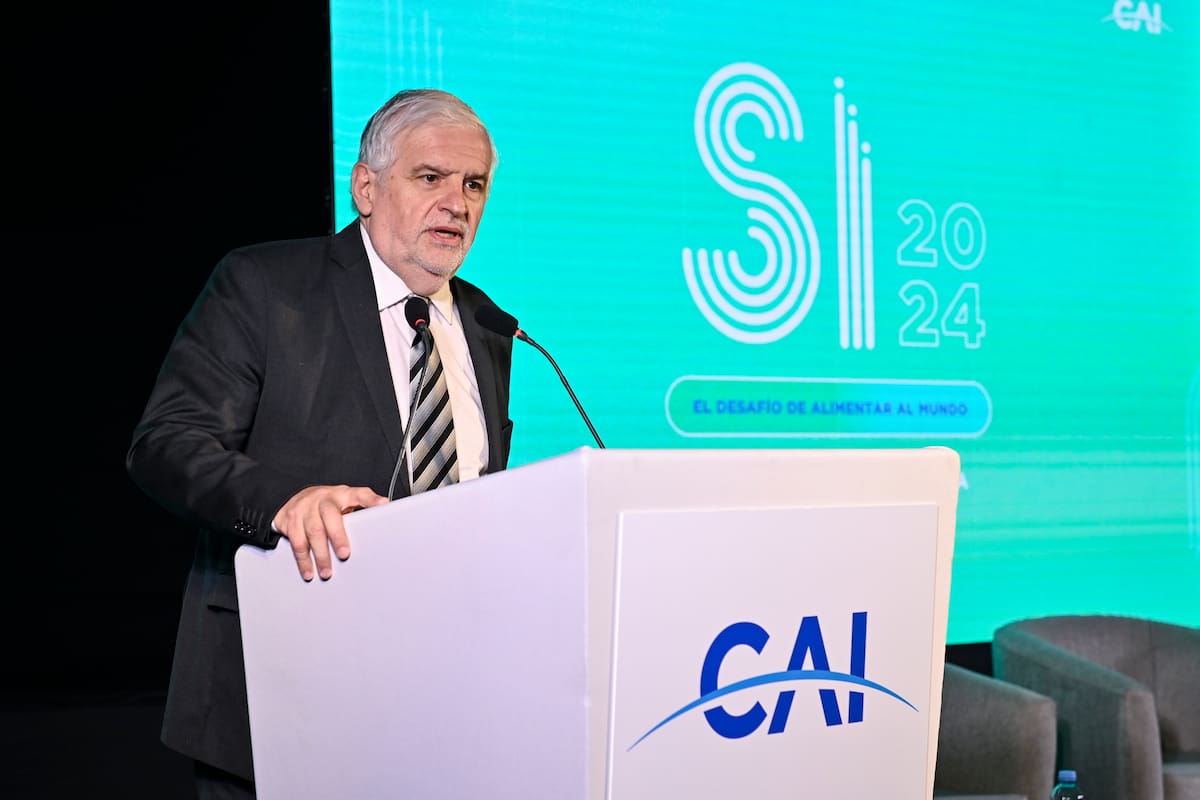 Fernando Vilella, secretario de Bioeconomía, en su discurso en el Centro Argentino de Ingenieros (CAI)