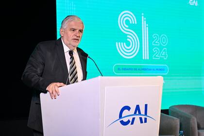 Fernando Vilella, secretario de Bioeconomía, en su discurso en el Centro Argentino de Ingenieros (CAI)