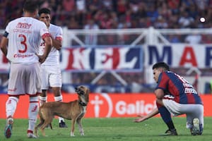 San Lorenzo y Unión fue tan aburrido que los únicos “ole” se los llevó un perro que eludió a todos