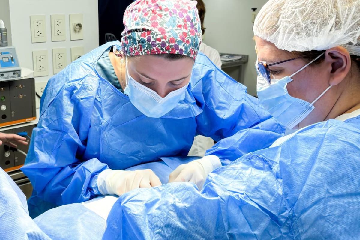 Ferrer y su equipo desarrollaron un hidrogel inyectable diseñado para aplicarse directamente en el músculo cardíaco dañado para ayudarlo a repararse