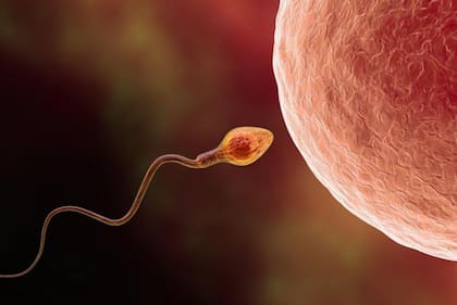 Su decisión le permitió ser madre pese a los pronósticos